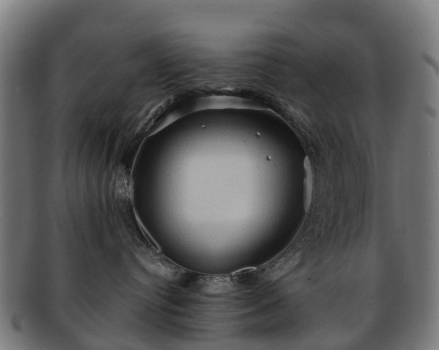 X0000091910384200709121522