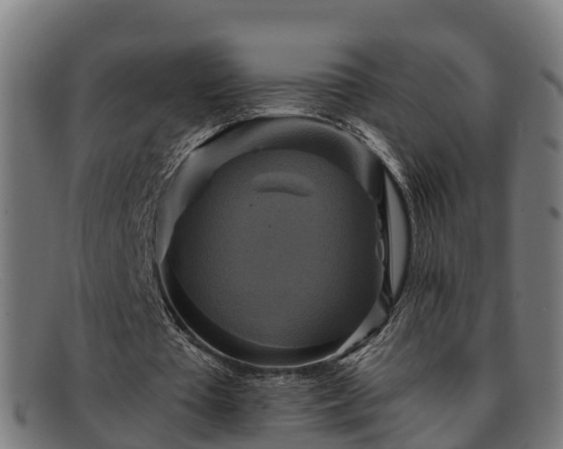 X0000091910385200709121521