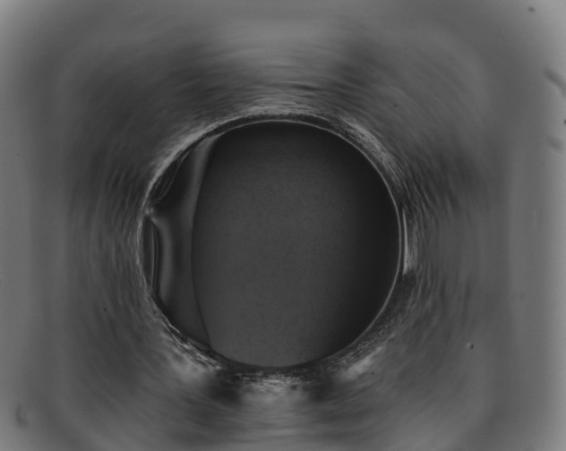 X0000091910387200709121521