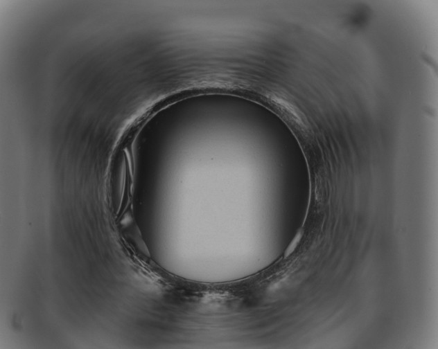 X0000091910388200709121521