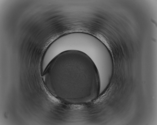 X0000091910389200709121521