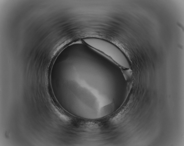 X0000091910390200709121521