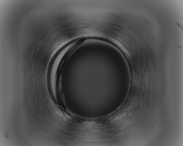 X0000091910391200709121521