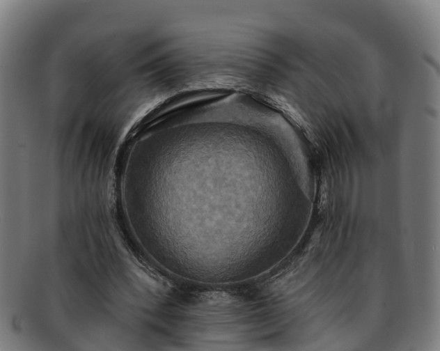 X0000091910392200709121521