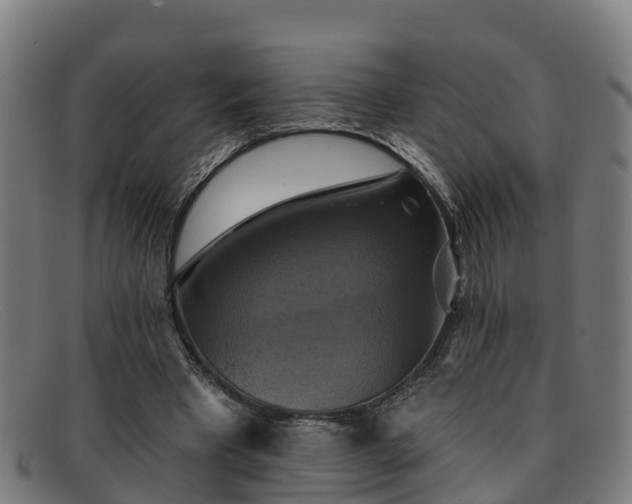 X0000091910393200709121521