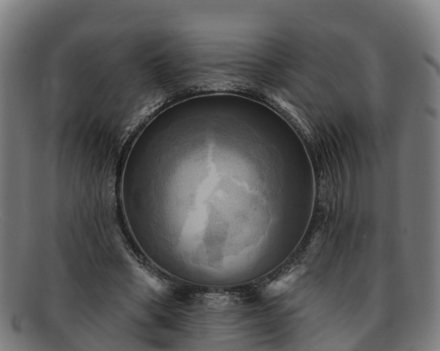 X0000091910394200709121521