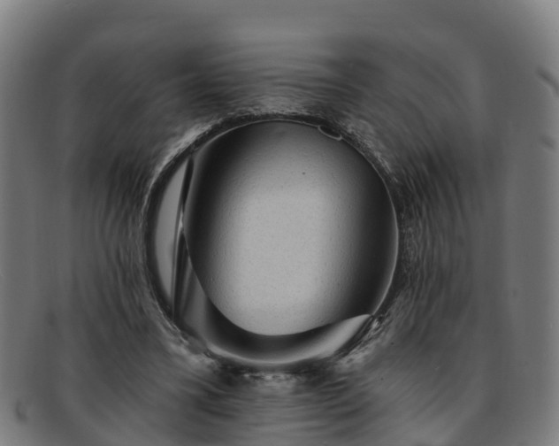 X0000091910395200709121521