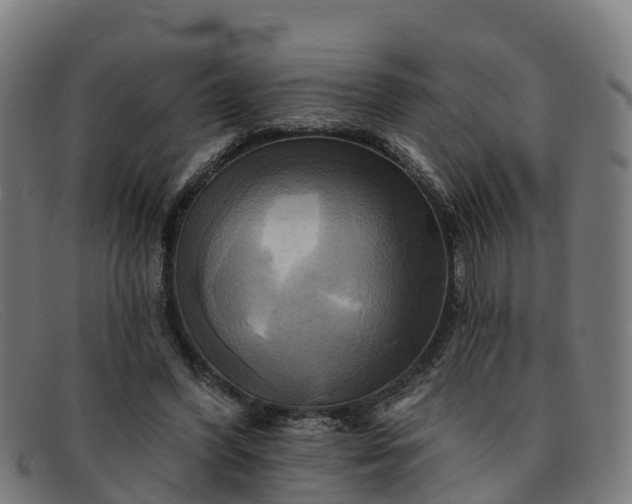 X0000091910396200709121521