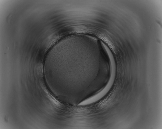 X0000091910397200709121521