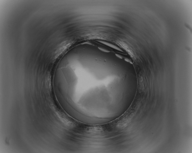 X0000091910398200709121521