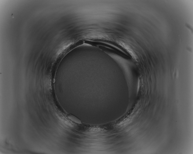 X0000091910399200709121521