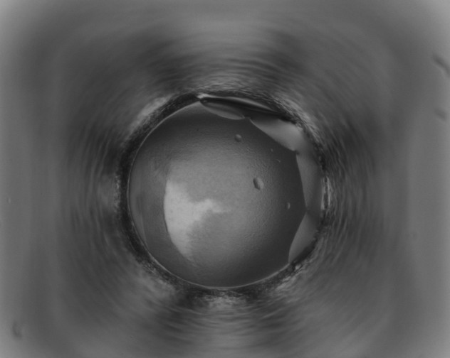 X0000091910400200709121521