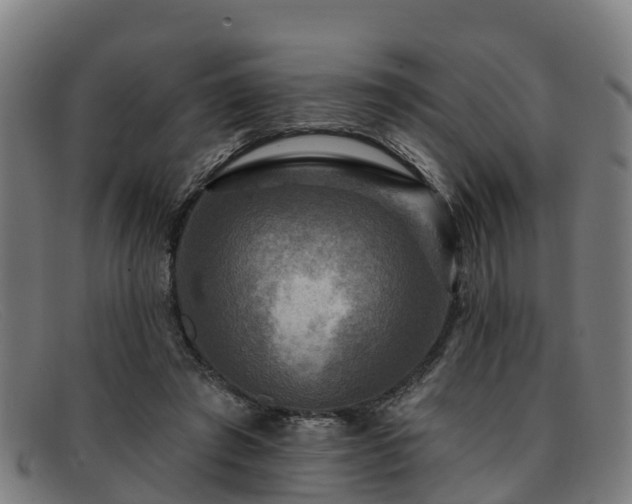 X0000091910401200709121521