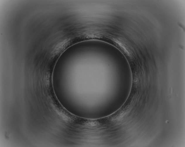 X0000091910402200709121521