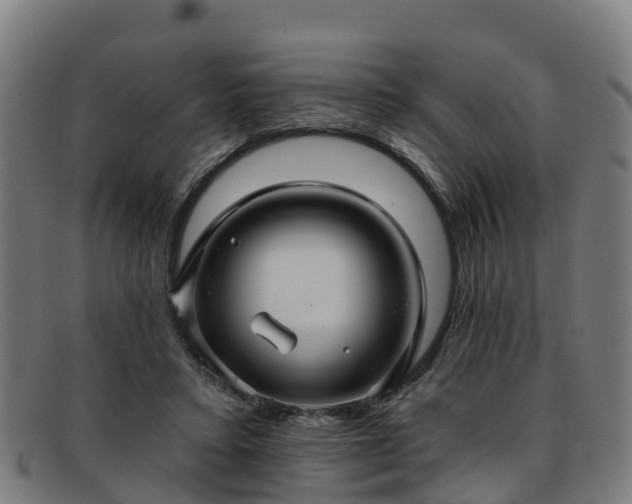 X0000091910403200709121521