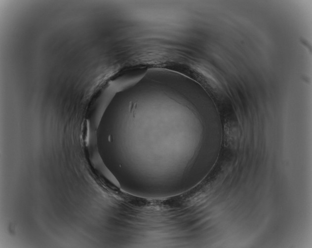 X0000091910404200709121521