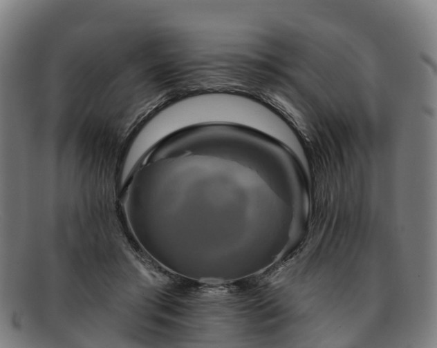 X0000091910405200709121521