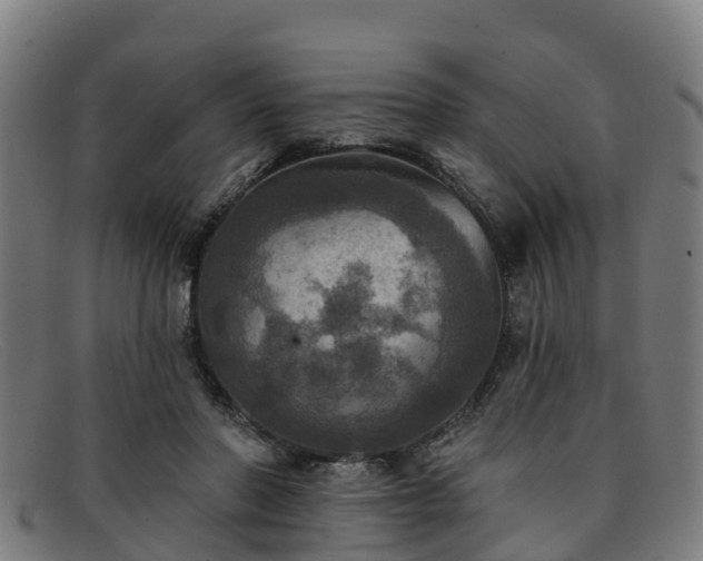 X0000091910406200709121521