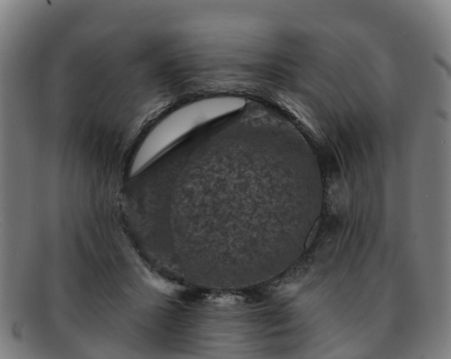 X0000091910407200709121521