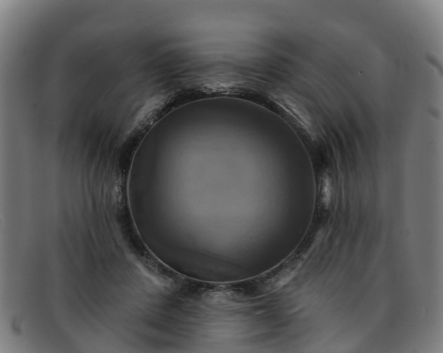 X0000091910408200709121521