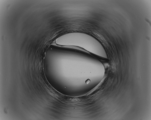 X0000091910409200709121521