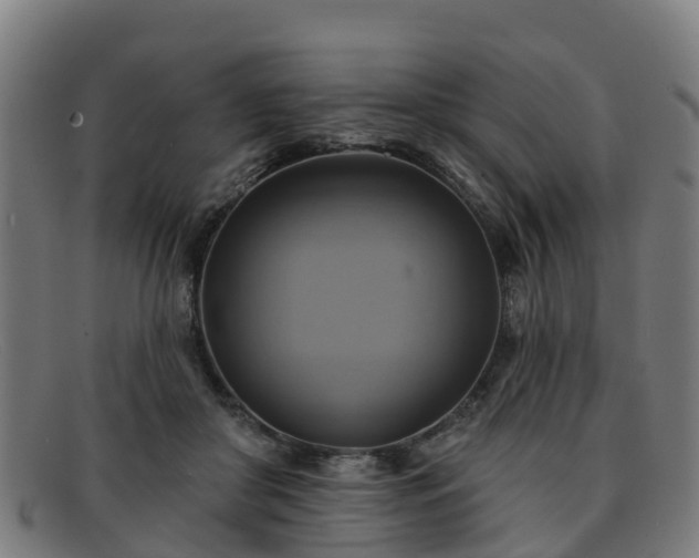 X0000091910410200709121521