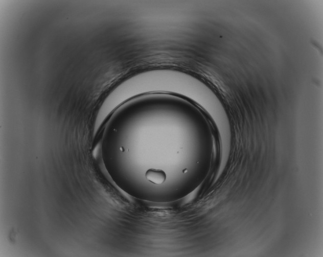 X0000091910411200709121521