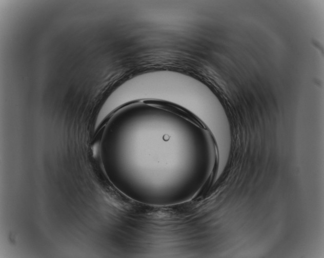 X0000091910412200709121521