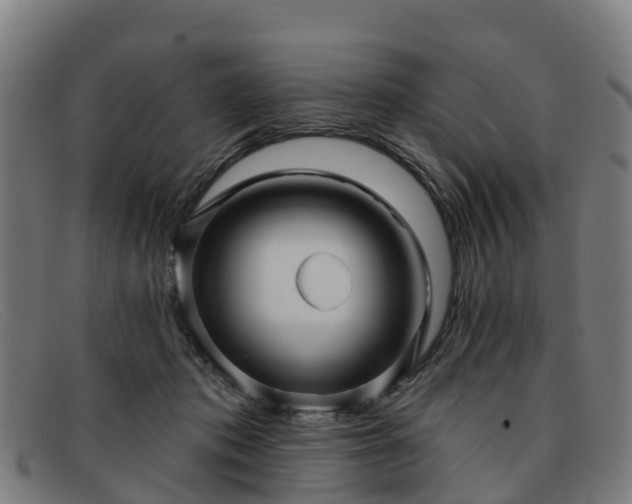 X0000091910413200709121521