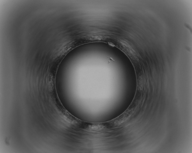 X0000091910414200709121521