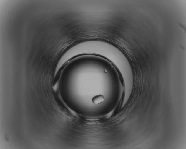 X0000091910415200709121521