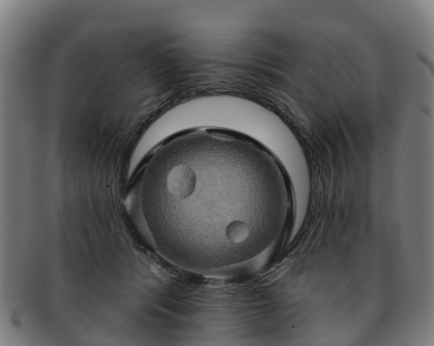 X0000091910416200709121521