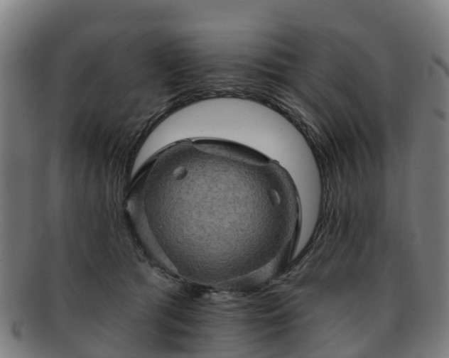 X0000091910417200709121521