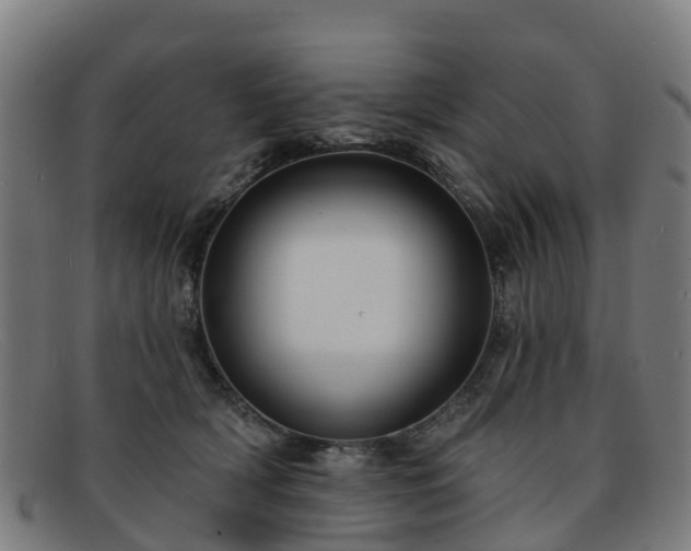 X0000091910418200709121521