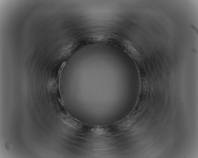 X0000091910419200709121521