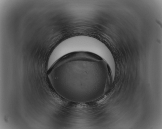 X0000091910420200709121521