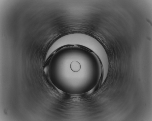 X0000091910423200709121521