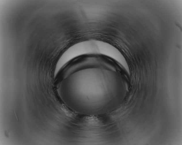 X0000091910424200709121521