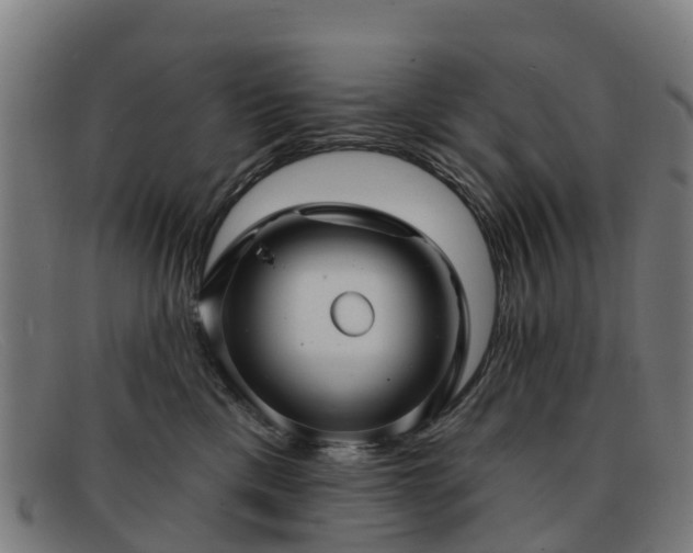 X0000091910425200709121521