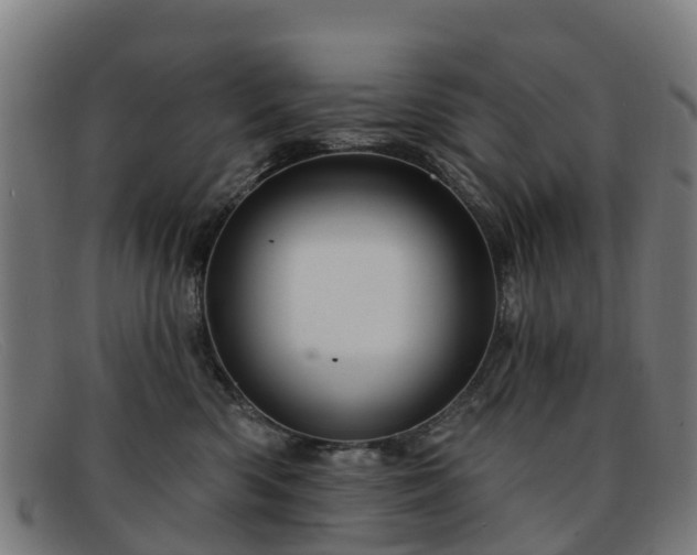 X0000091910426200709121521