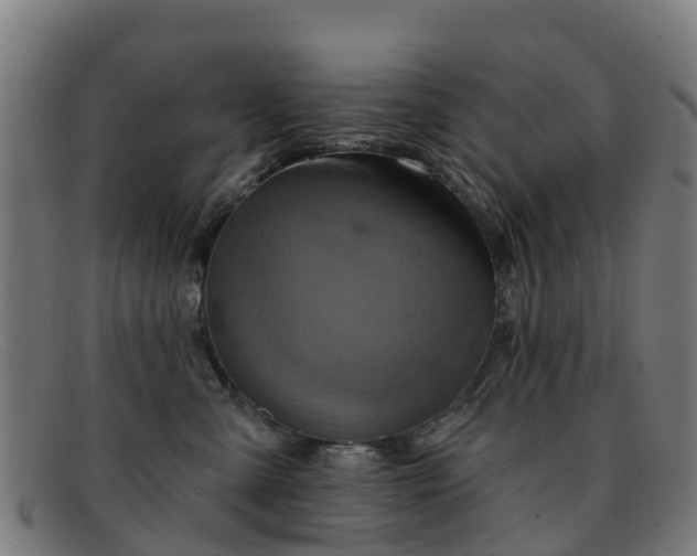 X0000091910427200709121521