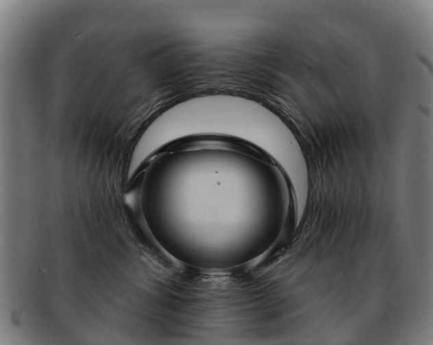 X0000091910428200709121521