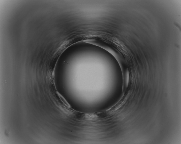 X0000091910429200709121521