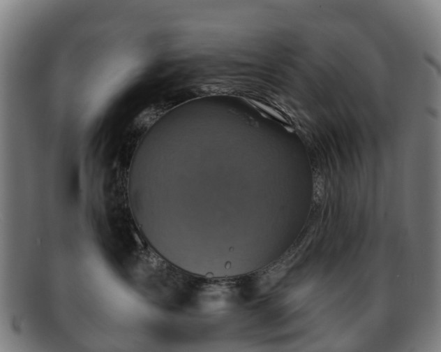 X0000091910431200709121521