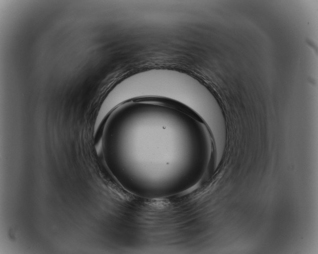 X0000091910432200709121521