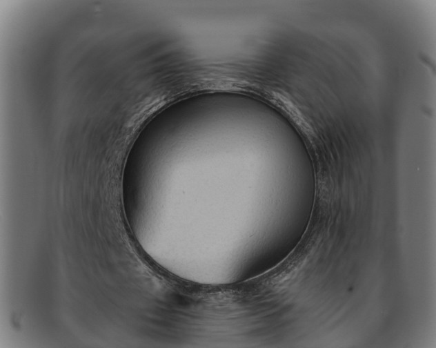 X0000091910433200709121520