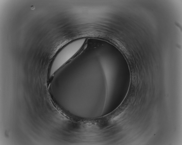 X0000091910434200709121520