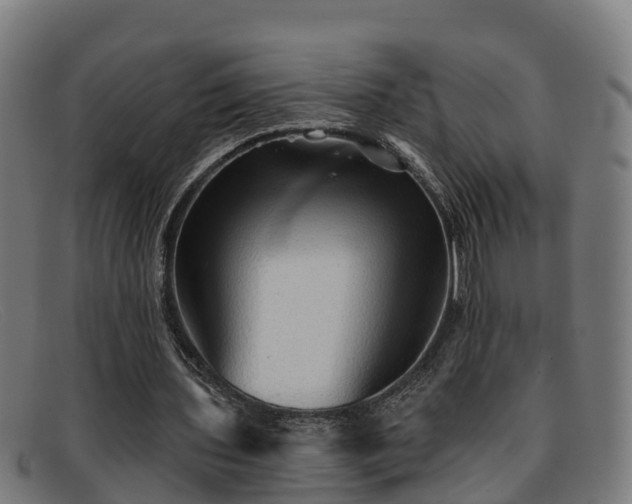 X0000091910435200709121520