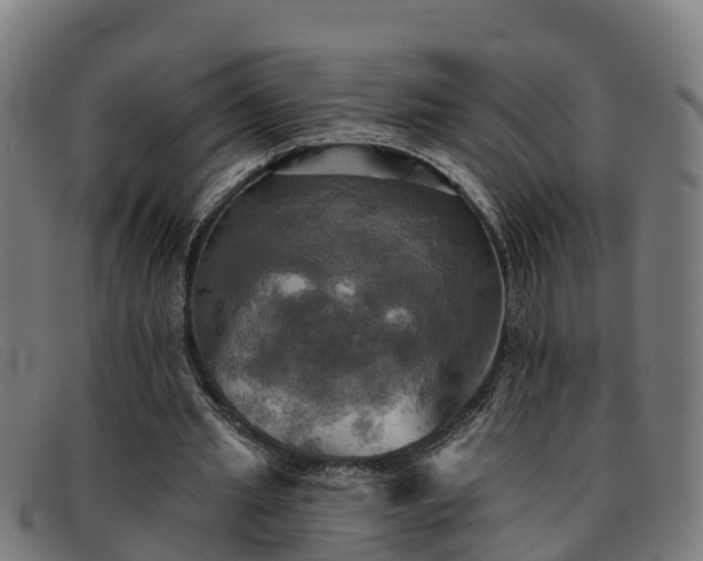 X0000091910437200709121520