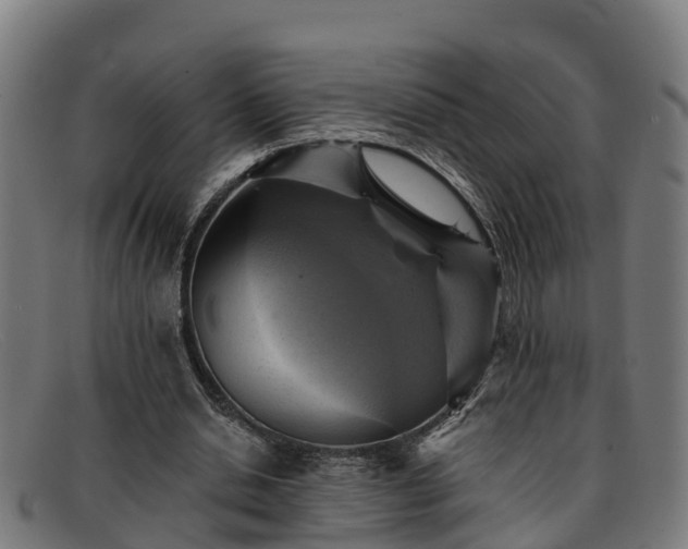 X0000091910438200709121520